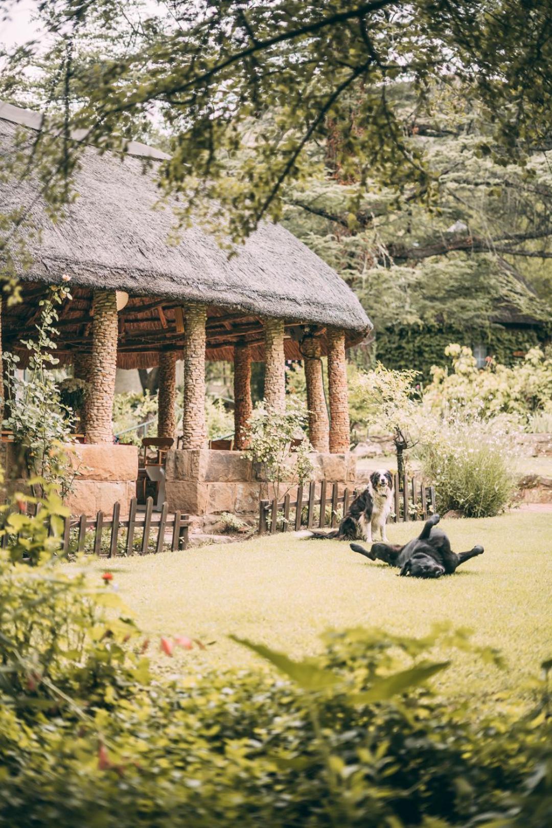 Wyndford Holiday Farm Фаурисбург Екстериор снимка